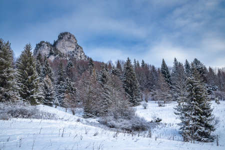 Winter landscape with snowy trees and rocky mountain. The Mala Fatra national park in northwest of Slovakia, Europe.の写真素材