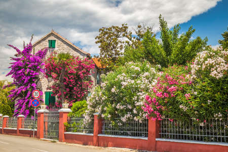 Stone house with flowers in Podstrana village near Split town in Croatia, Europe.の写真素材