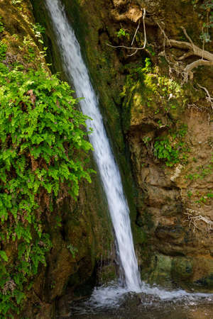 Waterfall in The Valley of Butterflies. The Petaloudes valley nature reserve in Rhodes, Greece, Europe.の写真素材
