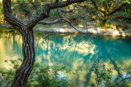 Lake in The seven springs waterfall forest area in the island of Rhodes, Greece, Europe.の写真素材