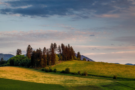 Spring rural landscape with dramatic sky at sunset. Meadows on the hillside of the Little Fatra Mountains in Slovakia, Europe.の写真素材