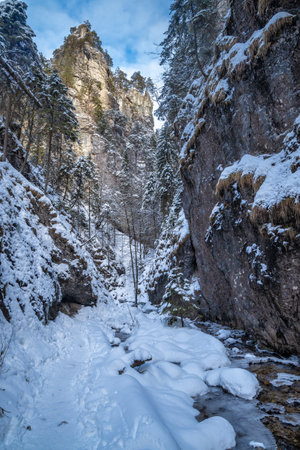 Snowy winter landscape with a tourist trail through a narrow gorge with wild stream. The Mala Fatra national park in Slovakia, Europe.の写真素材