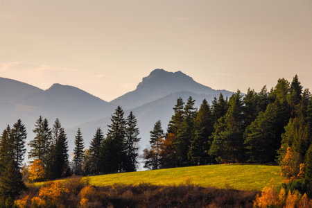 Autumn sunny rural landscape with mountains in the background. The Orava region of Slovakia, Europe.の写真素材