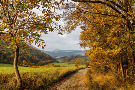 Dirt road through the countryside in an autumn foggy morning. Northwest of Slovakia, Europe.の写真素材
