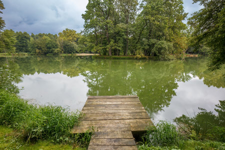 Wooden footbridge to the lake in the park.の写真素材