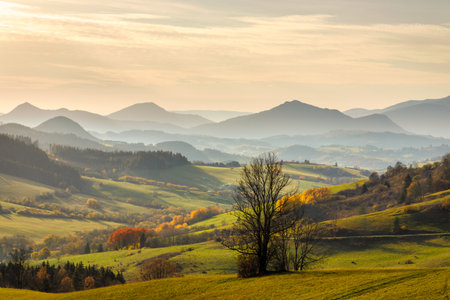 Autumn sunny rural landscape with mountains in the background. The Orava region of Slovakia, Europe.の写真素材