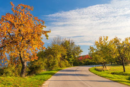 A road through an autumn country at a sunny day.の写真素材
