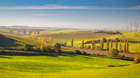 Autumn sunny rural landscape with a row of colored trees. The Turiec region of Slovakia, Europe.の写真素材