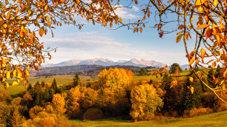 View of autumn landscape framed by colorful foliage at sunset, The Western Tatras mountains in Slovakia in a background. The Orava region of Slovakia, Europe.の写真素材