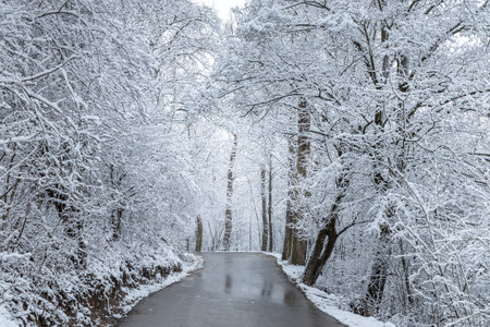 A road through a winter landscape with snow-covered trees.の写真素材
