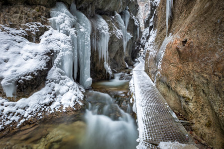 Winter landscape with a wild stream and waterfalls through a narrow gorge and canyon covered with snow and ice. The Mala Fatra national park in Slovakia, Europe.の写真素材