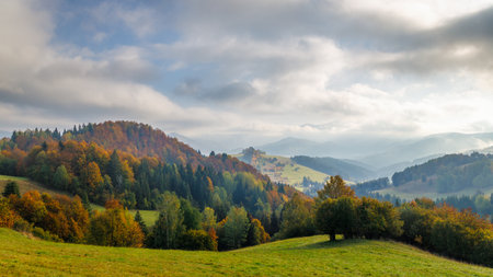 Autumn foggy landscape of hills with colorful trees. The Orava region of Slovakia, Europe.の写真素材