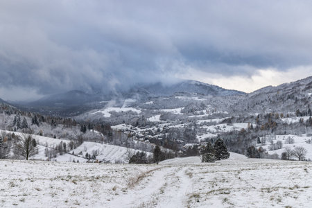 Winter landscape with snowy trees and mountains at hazy day. The Mala Fatra national park in northwest of Slovakia, Europe.の写真素材