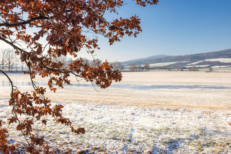 Winter snowy country at sunny day. Region Pilsen in Czech Republic, Europe.の写真素材