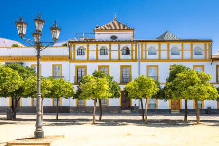 Seville town, capital of Andalusia in Spain. Charming Spanish plaza with a grand white building, lush green trees, and a classic lamppost.の写真素材