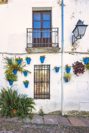 The Calleja de las Flores, popular tourist street of Cordoba city in Andalusia, Spain. Charming white building with blue flower pots and a balcony.の写真素材