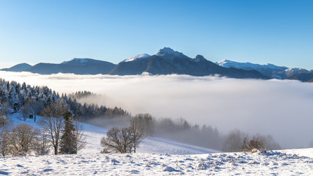 Snowy winter landscape in a misty sunny morning. The Mala Fatra national park in northwest of Slovakia, Europe.の写真素材