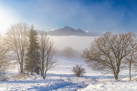 Snowy winter landscape in a misty sunny morning. The Mala Fatra national park in northwest of Slovakia, Europe.の写真素材