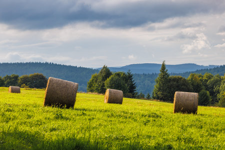 Landscape of Adrspach-Teplice Rocks area, in Hradec Kralove Region in the Czech Republic, Europe....