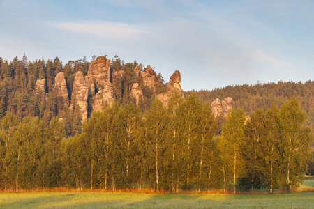 Adrspach-Teplice Rocks, sandstone formations in Hradec Kralove Region in the Czech Republic, Europe. A picturesque scene of sandstone formations rising above a forest, under a soft, muted sky at dawn.の写真素材