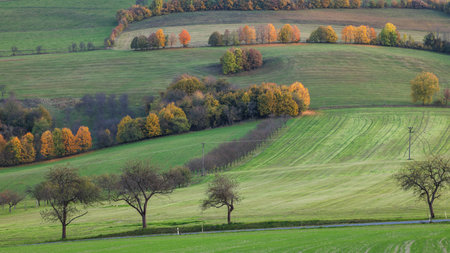 Rolling green hills with colorful trees. A road cuts through the landscape. Autumn foliage paints...