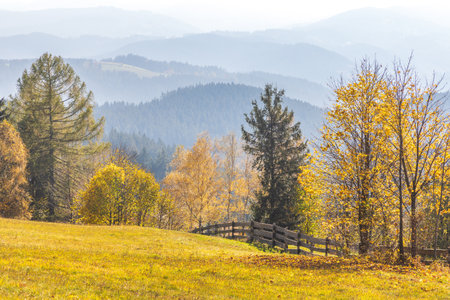 Golden autumn landscape with trees a fence and misty mountains in the background Serene scenic view Moravia region of Czech Republic, Europe.の写真素材