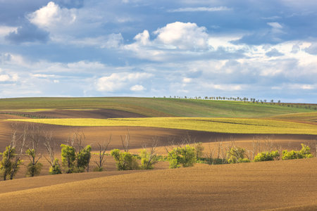 The country of South Moravia in the Czech Republic, Europe. Rolling hills of agricultural land under...