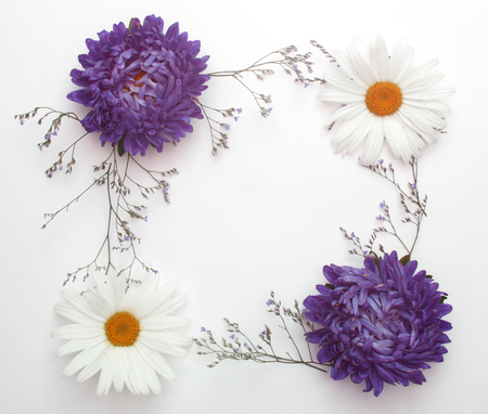 floral frame with branches, flower and daisyの写真素材