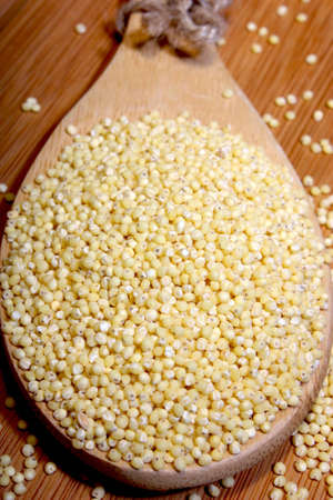 Millet seeds