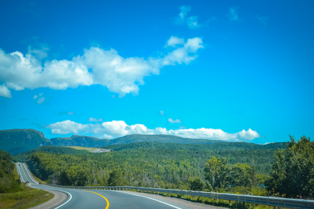 NEWFOUNDLAND / CANADA - AUGUST 2014: SUMMER AT NEWFOUNDLANDの写真素材