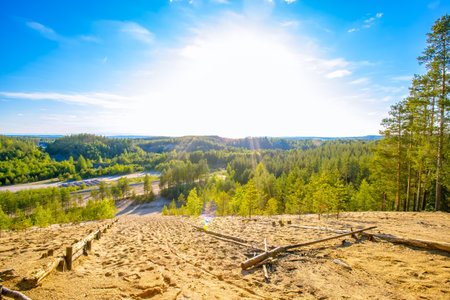 View of the forest from the top of the hill. Summer landscape.の写真素材