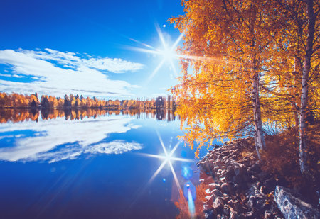 Beautiful autumn landscape with a lake and bright sun on the backgroundの写真素材