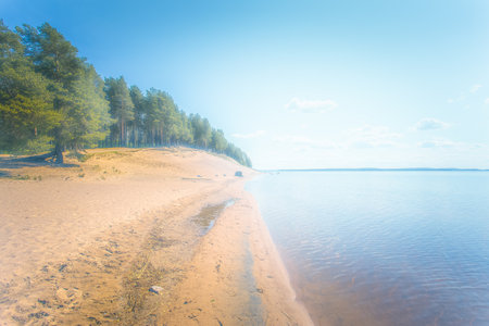 Baltic sea shore on a sunny summer day. Landscape.の写真素材