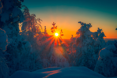 Cold winter day sunset landscape with snowy trees. Photo from Sotkamo, Finland. Background Heavy snow view.の写真素材