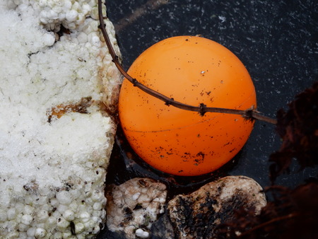 derelict orange ballの写真素材