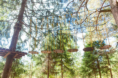 the eco sport in the woods, sports ladders
