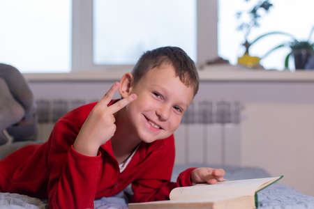 the schoolboy reads book at home, distance learning