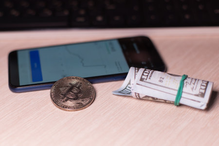 the Bitcoins and New Virtual money concept. Growth bitcoins.の写真素材