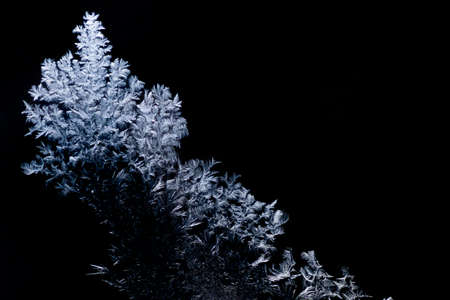 white snowflakes on a black backgroundの写真素材