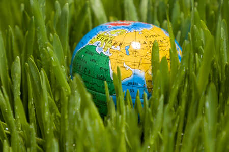 World earth day, the globe lies on the grassの写真素材