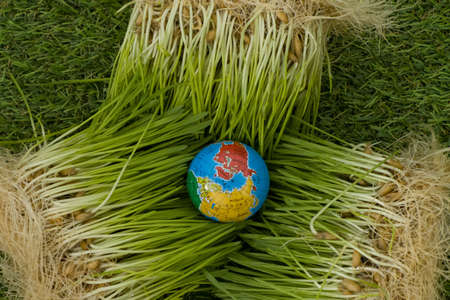 World earth day, the globe lies on the grass