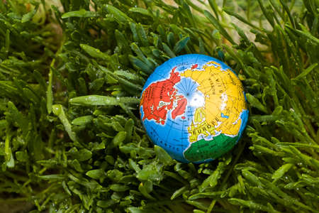 World earth day, the globe lies on the grassの写真素材