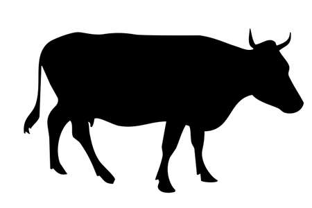 black silhouette of a cow's body standing on the side.の写真素材