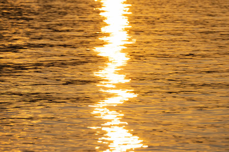 close-up of the sea, golden texture of the sunset on the water.