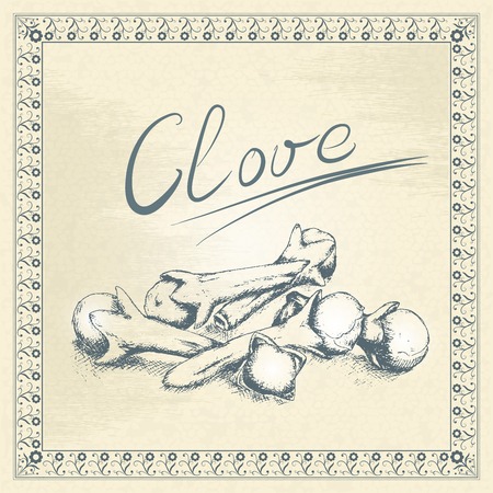 Hand drawn vintage label for spices with frameのイラスト素材