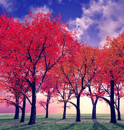 Beautiful autumnの写真素材