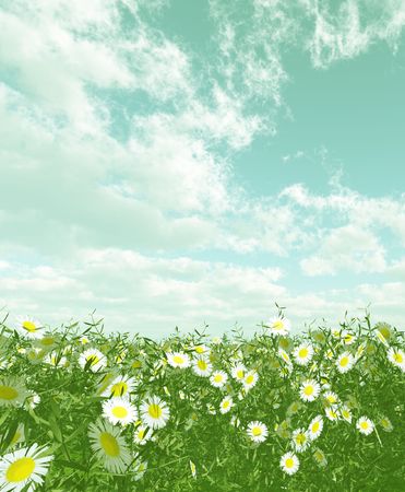 Beautiful flowersの写真素材