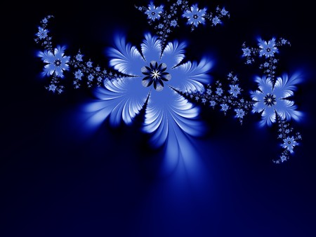 Beautiful flowersの写真素材