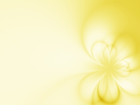 Beautiful flowersの写真素材