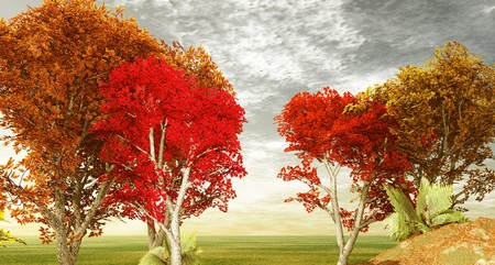 Autumn landscapeの写真素材